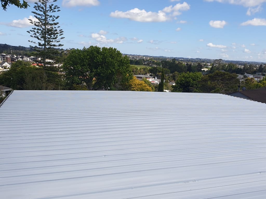 Roof painting project
